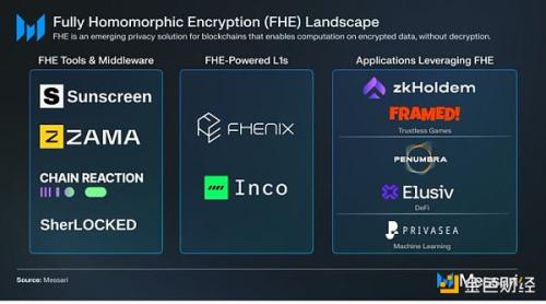 Messari：全同态加密项目速览
