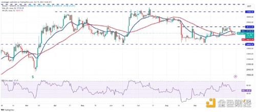 分析师告诉你加密市场怎么走：BTC、SOL、LDO、ICP、VET