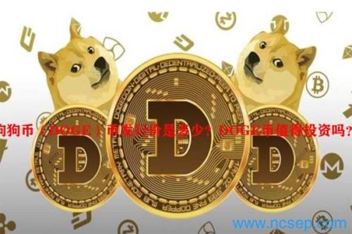 狗狗币（DOGE）币发行价是多少？DOGE币值得投资吗？