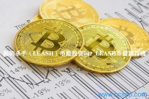 狗狗杀手（LEASH）币能投资吗？LEASH币最新行情