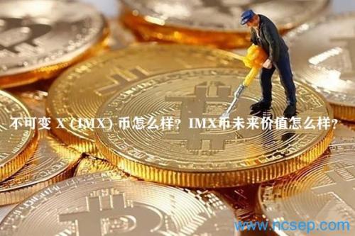 不可变 X (IMX) 币怎么样？IMX币未来价值怎么样？