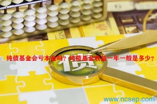 纯债基金会亏本金吗？纯债基金收益一年一般是多少？