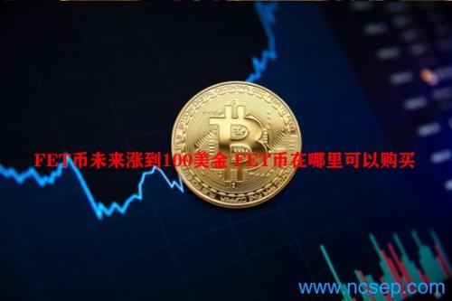 FET币未来涨到100美金 FET币在哪里可以购买