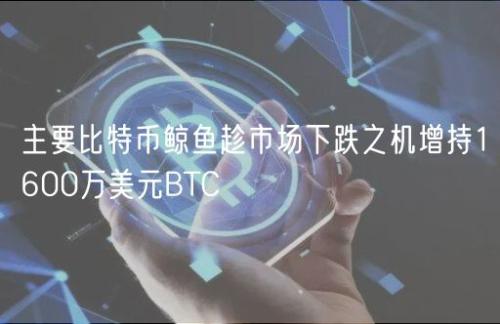 主要比特币鲸鱼趁市场下跌之机增持1600万美元BTC