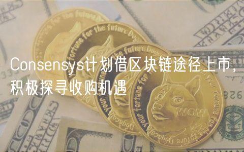 Consensys计划借区块链途径上市，积极探寻收购机遇