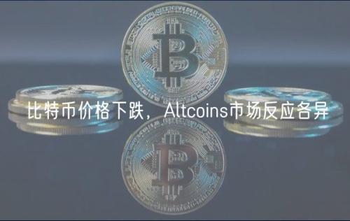 比特币价格下跌，Altcoins市场反应各异