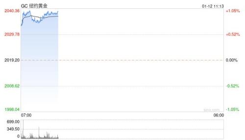 1.12日讯：通胀回升打击降息预期，金价短期受挫
