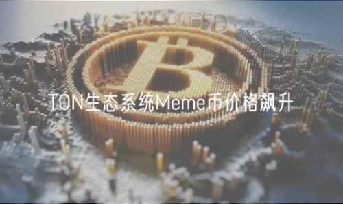 TON生态系统Meme币价格飙升