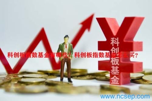 科创板指数基金有哪些？科创板指数基金怎么买？