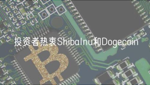 投资者热衷ShibaInu和Dogecoin