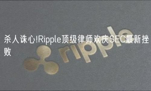 杀人诛心!Ripple顶级律师欢庆SEC最新挫败