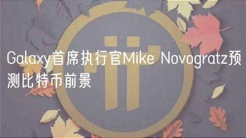 Galaxy首席执行官Mike Novogratz预测比特币前景