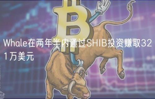 Whale在两年半内通过SHIB投资赚取321万美元