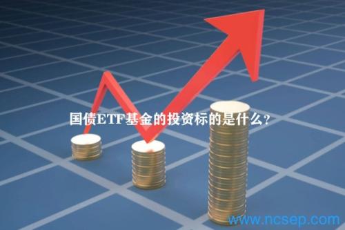 国债ETF基金的投资标的是什么？