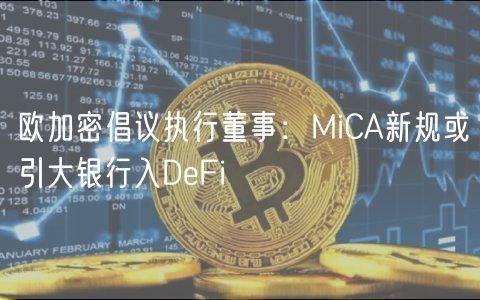 欧加密倡议执行董事：MiCA新规或引大银行入DeFi