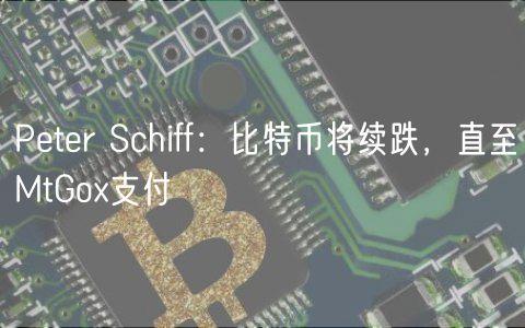 Peter Schiff：比特币将续跌，直至MtGox支付