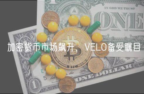 加密货币市场飙升，VELO备受瞩目