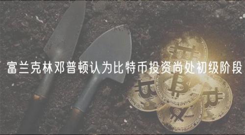 富兰克林邓普顿认为比特币投资尚处初级阶段