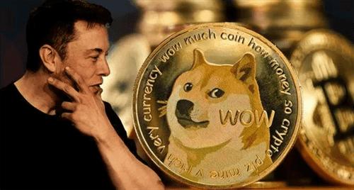 doge币成长过程 一文了解doge币发展史