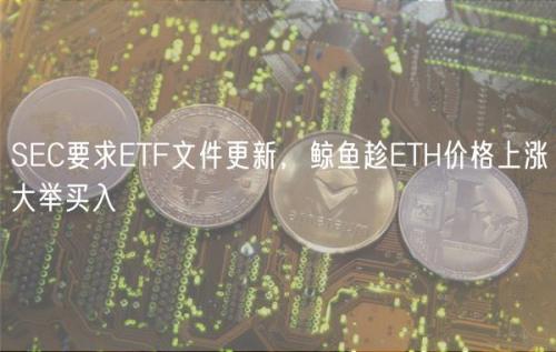 SEC要求ETF文件更新，鲸鱼趁ETH价格上涨大举买入