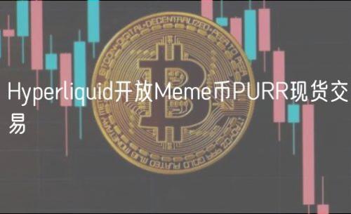 Hyperliquid开放Meme币PURR现货交易