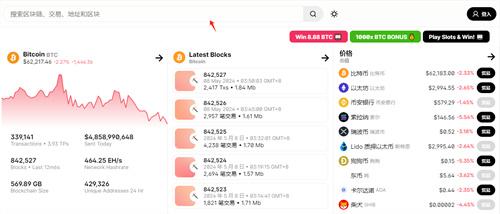 入门必看：btc区块链浏览器查询详细指南