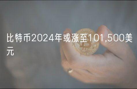 比特币2024年或涨至101,500美元